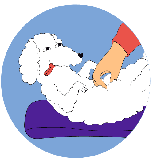 Pet Sitter